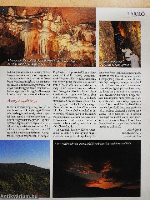 A mi erdőnk 2018/4.