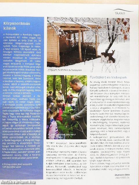 A mi erdőnk 2019/6.