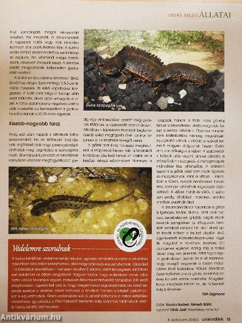 A mi erdőnk 2018/2.