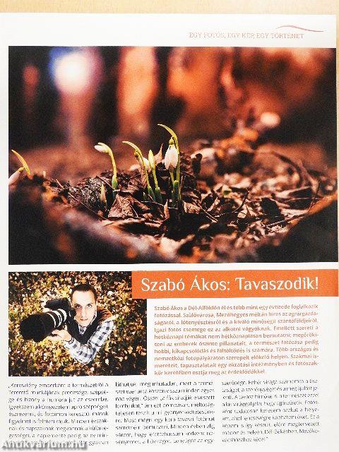 A mi erdőnk 2019/2.