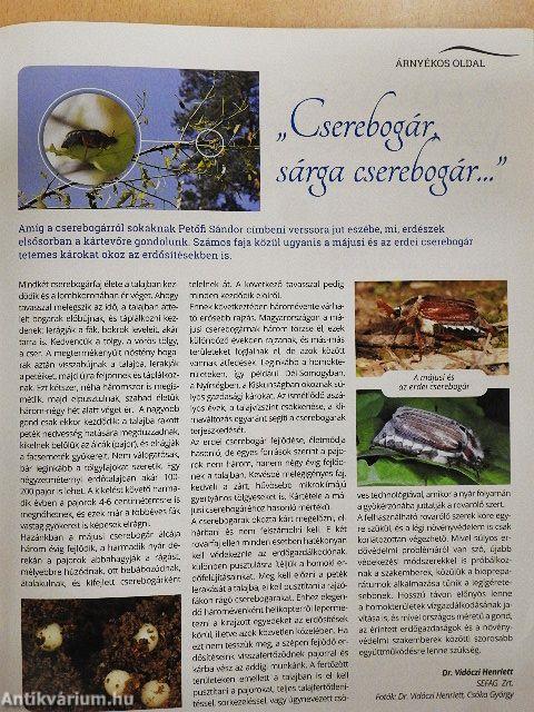 A mi erdőnk 2019/2.