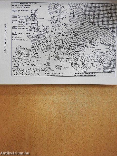 Háború a zsidók ellen