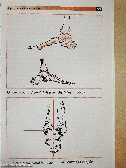Gyermekláb-gyermekcipő