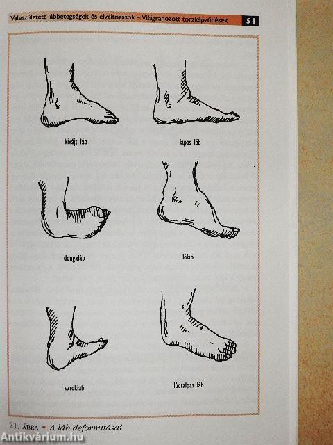 Gyermekláb-gyermekcipő