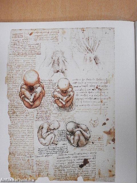 Világhíres festők 1-26.