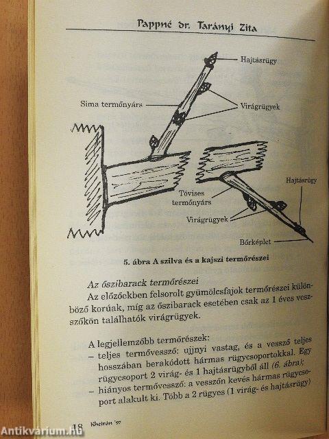 Metszés, szaporítás a kiskertben
