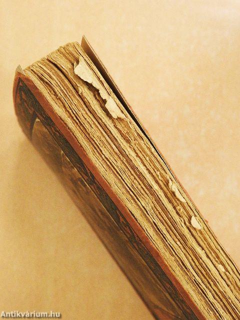 A magyar lövészárok