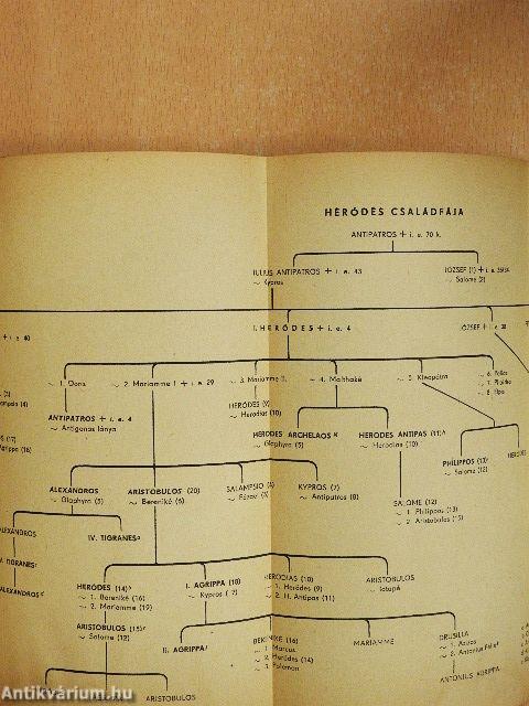 A zsidók története