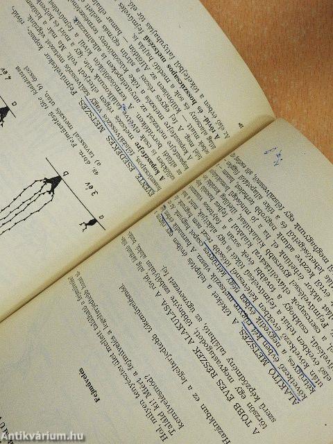 Szőlőtermesztés I.