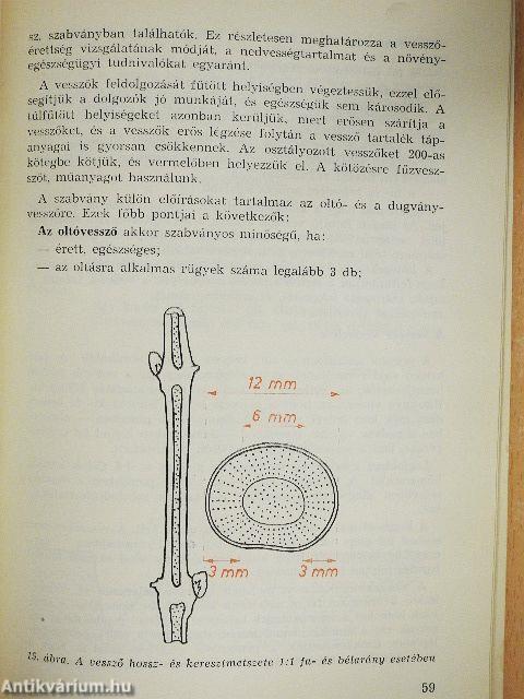 Szőlőtermesztés I.