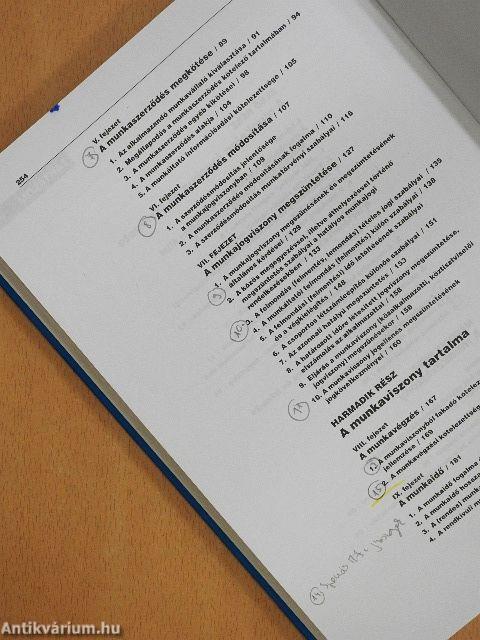 A magyar munkajog I.