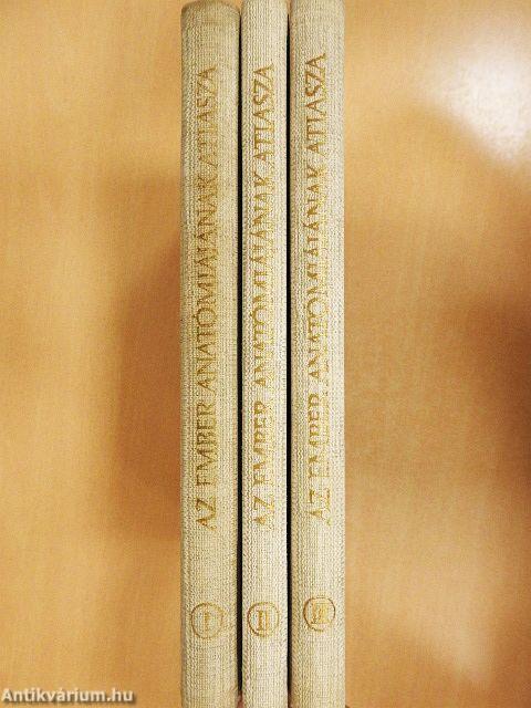 Az ember anatómiájának atlasza I-III.