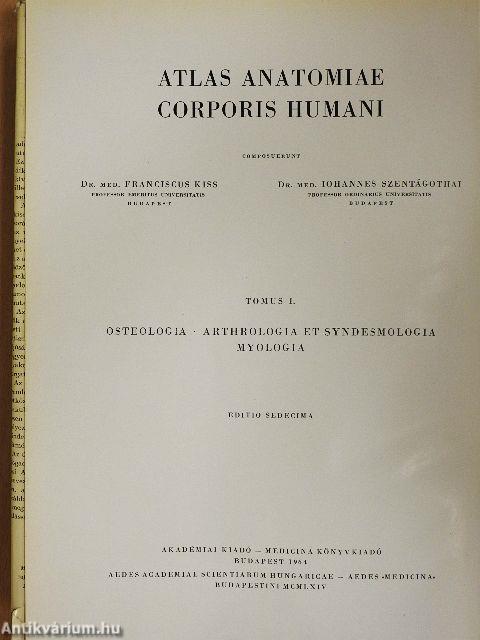 Az ember anatómiájának atlasza I-III.