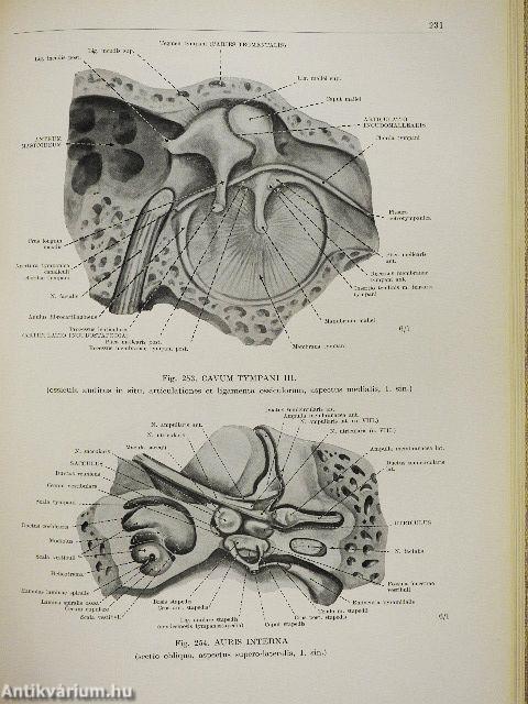 Az ember anatómiájának atlasza I-III.