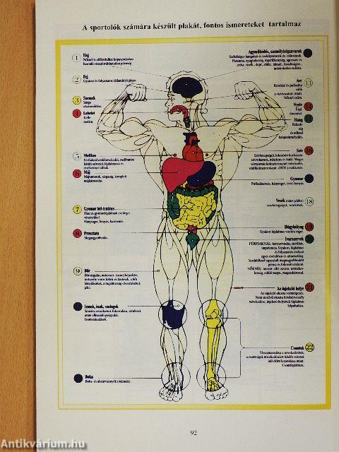 Kábítószer, szenvedély, szenvedélybetegség