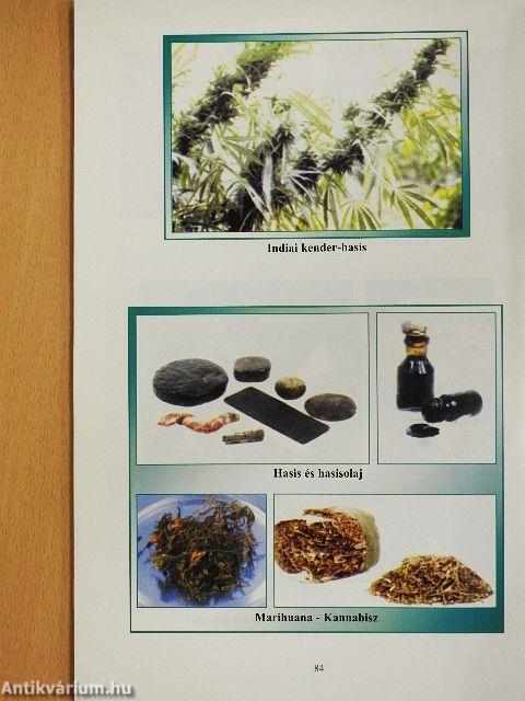 Kábítószer, szenvedély, szenvedélybetegség