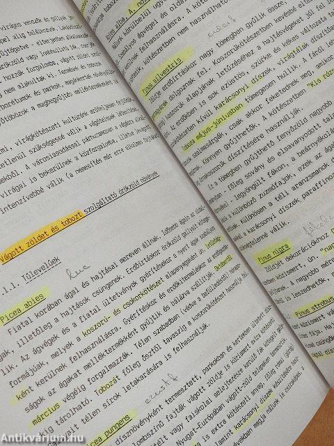 Kertészeti dendrológia