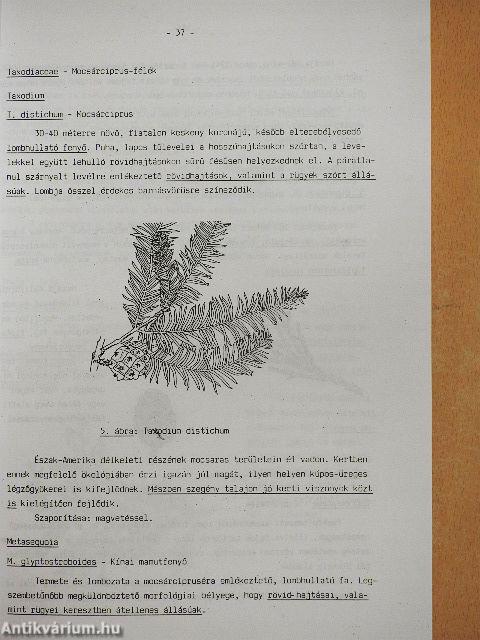 Kertészeti dendrológia