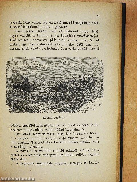 A "Jeannette" pusztulása