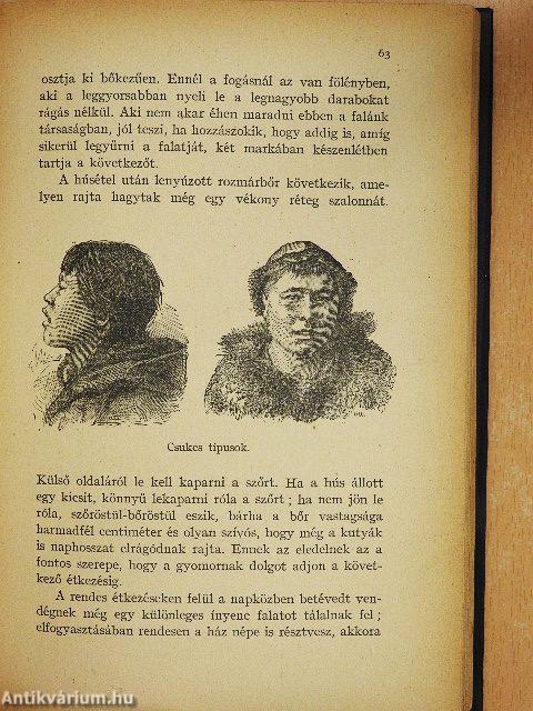 A "Jeannette" pusztulása