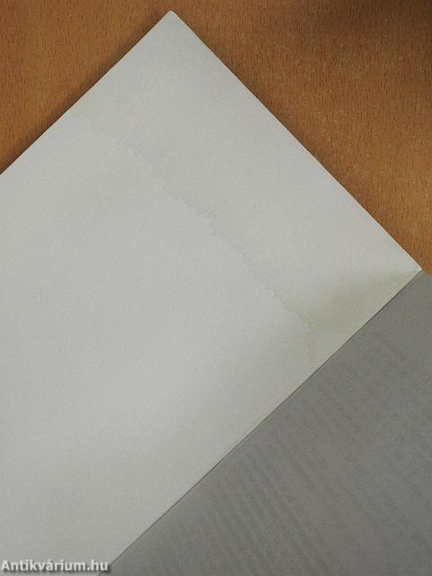 Történeti bevezetés a szociálpszichológiába: a meghonosítás lépései