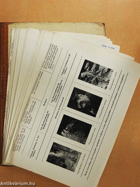 Fotografische Praxis