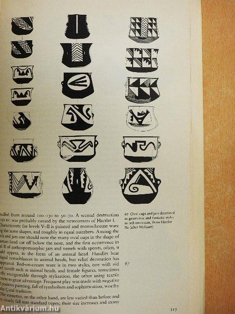 The Neolithic of the Near East