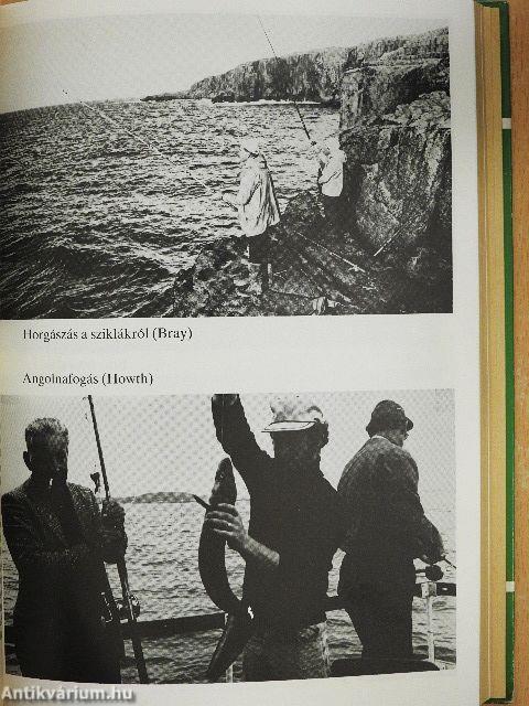 Írország két arca