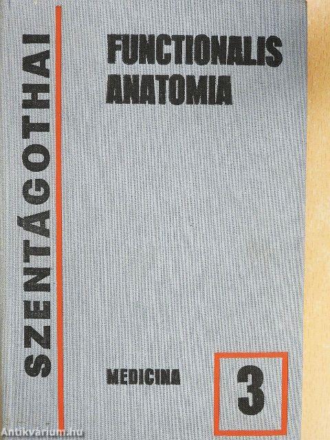 Functionalis anatomia 3.
