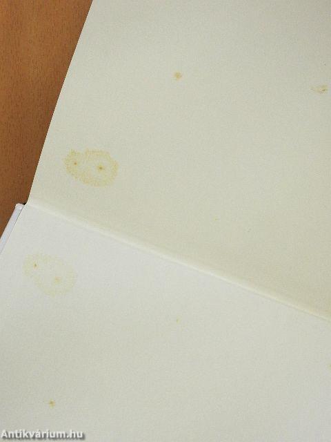 Moriarty/Tengerparti kávézó/Akik az életemre törnek/Titkok melódiája