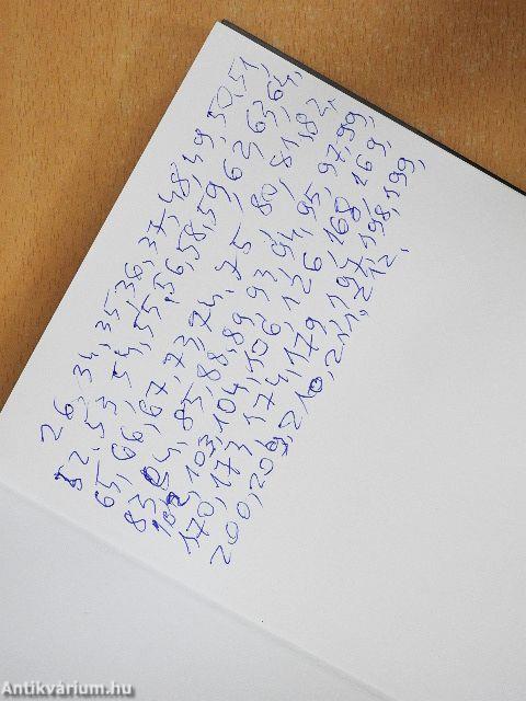 Elmondani az elmondhatatlant