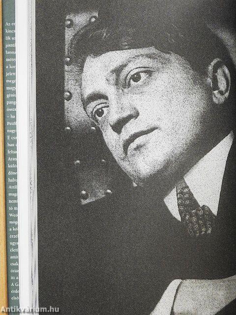 Költők, gének, titkok