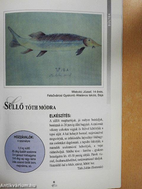 Halételek, rajzok, emberek