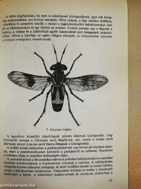 Trópusi egészségügyi zsebkönyv