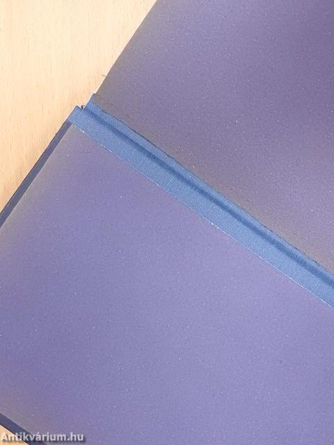 A "Jeannette" pusztulása