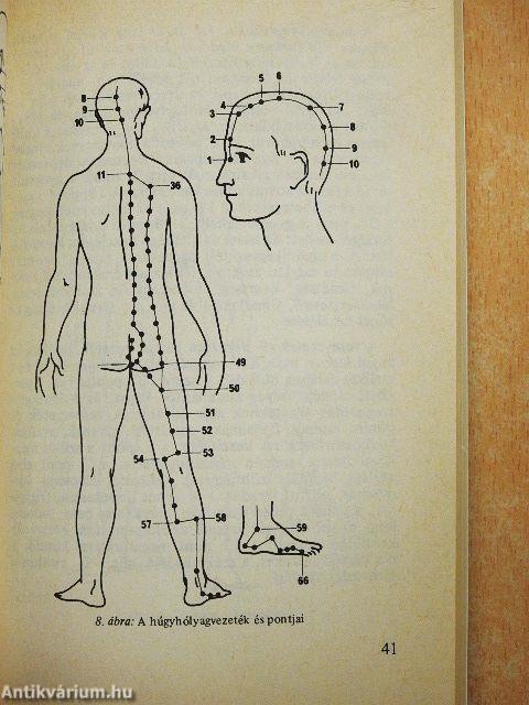 Akupunktúra és moxibusztió