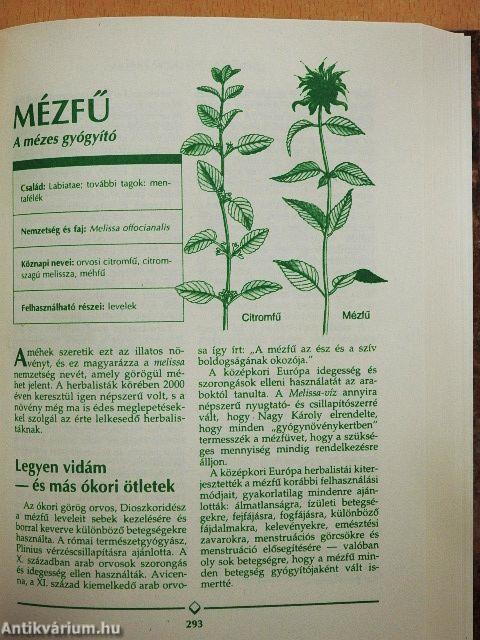 Gyógynövény enciklopédia