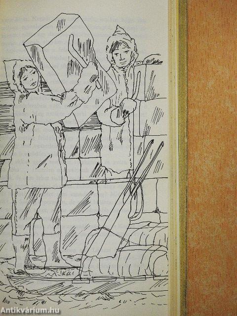 Alea, az eszkimó lány