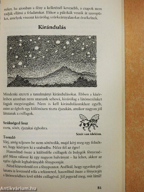 Az optikai csalódások rejtélyei