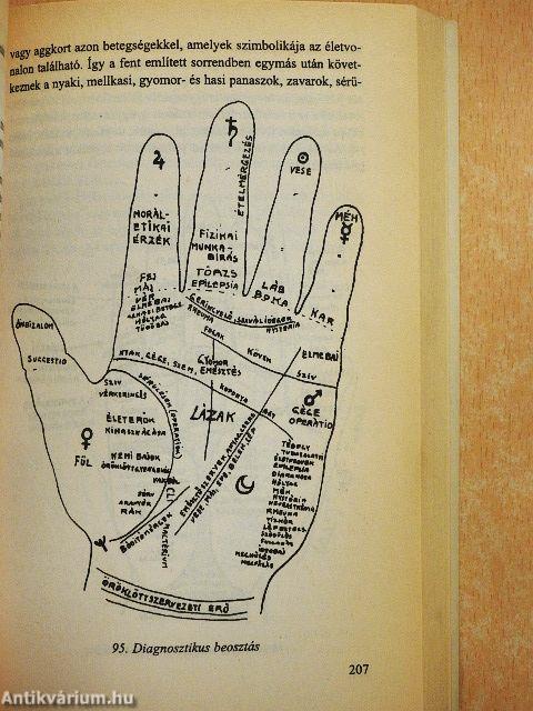 Kézvonalak-embersorsok