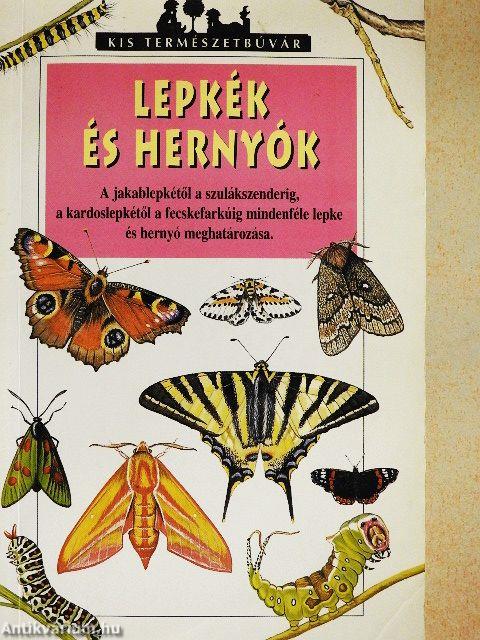 Lepkék és hernyók