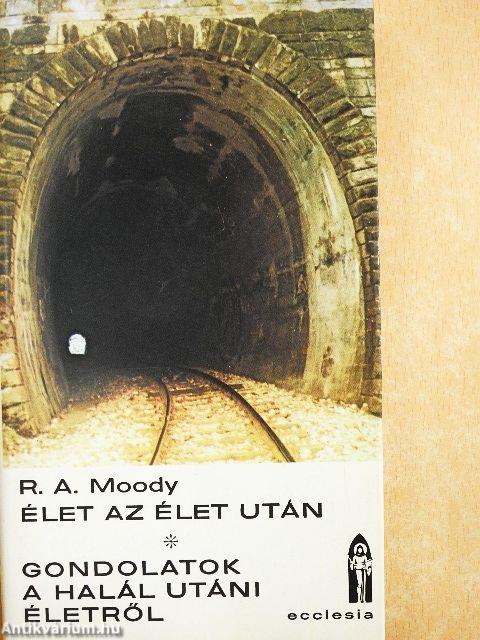 Élet az élet után/Gondolatok a halál utáni életről