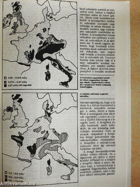 Föld és Ég 1982. január-december