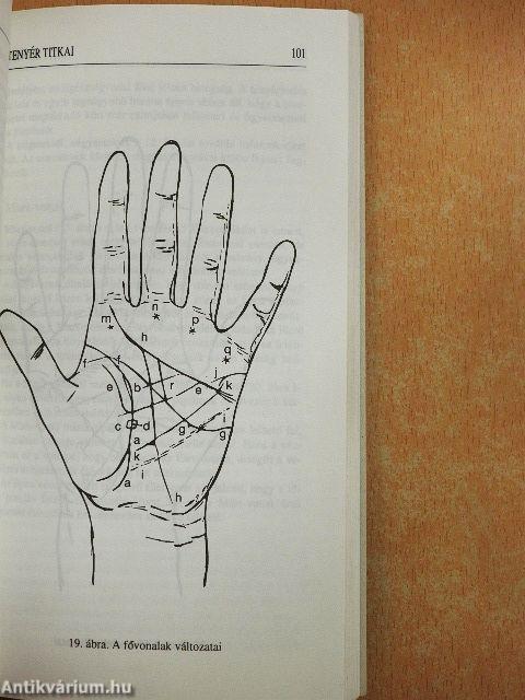 A tenyér titkai/Chiromantia