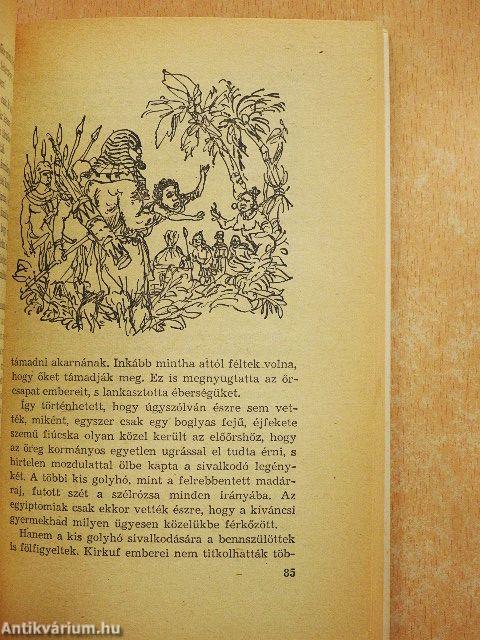 Négy tenger hajósa