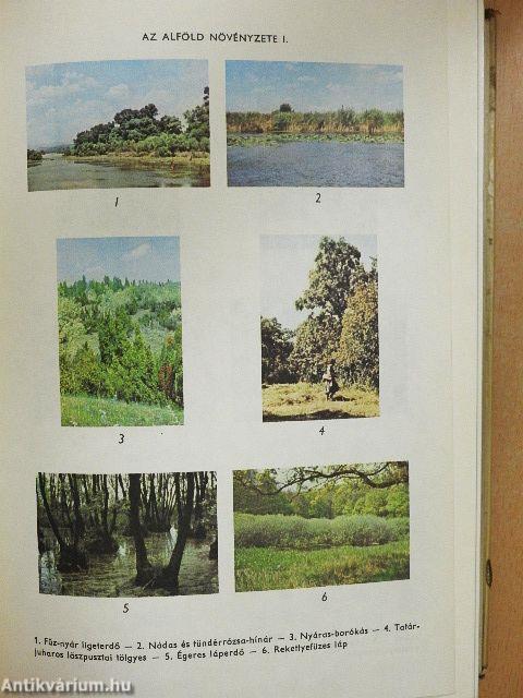 Biológiai lexikon 1-4.