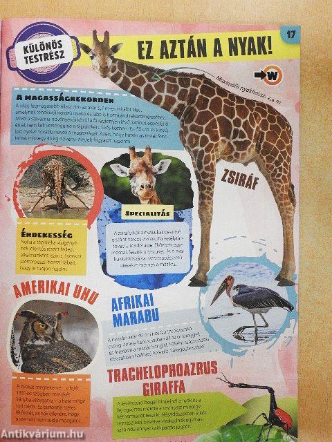 Tudorka Magazin 212.