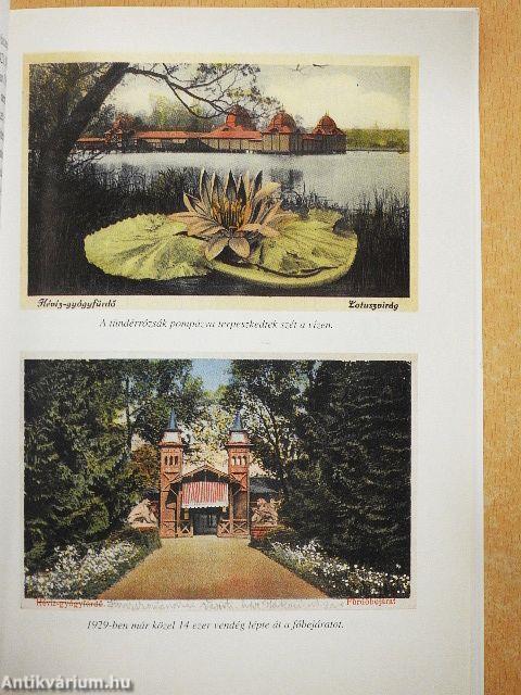 Páratlan testvérpár