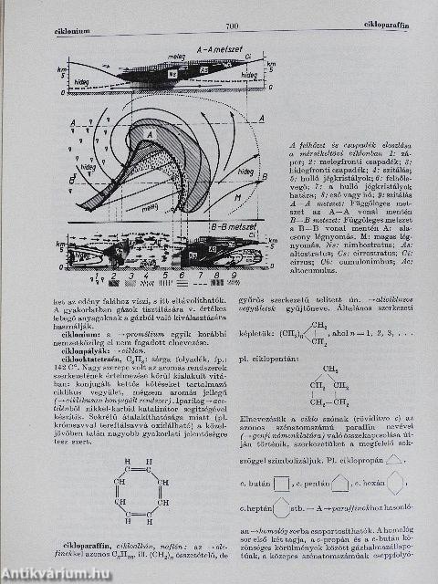Természettudományi lexikon 1-6.