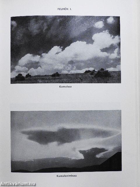 Természettudományi lexikon 1-6.